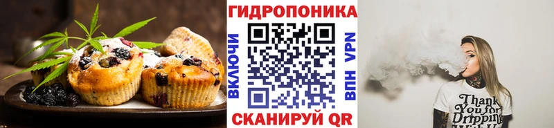 Canna-Cookies марихуана  hydra ONION  Ахтубинск  закладки 