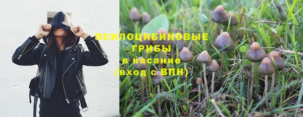 стафф Остров