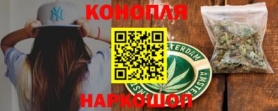 прущие грибы Апшеронск