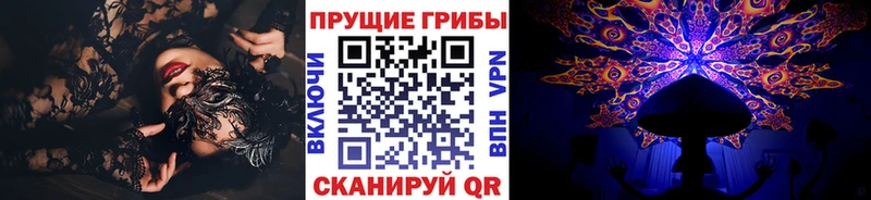 Псилоцибиновые грибы мухоморы  кракен рабочий сайт  Ахтубинск  купить  