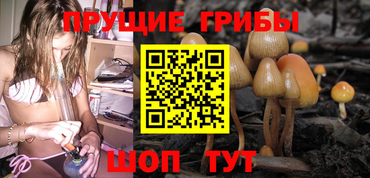 Псилоцибиновые грибы мицелий  купить   Ахтубинск 