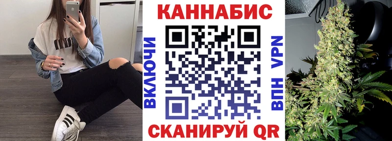 купить наркоту  Ахтубинск  Бошки марихуана планчик 